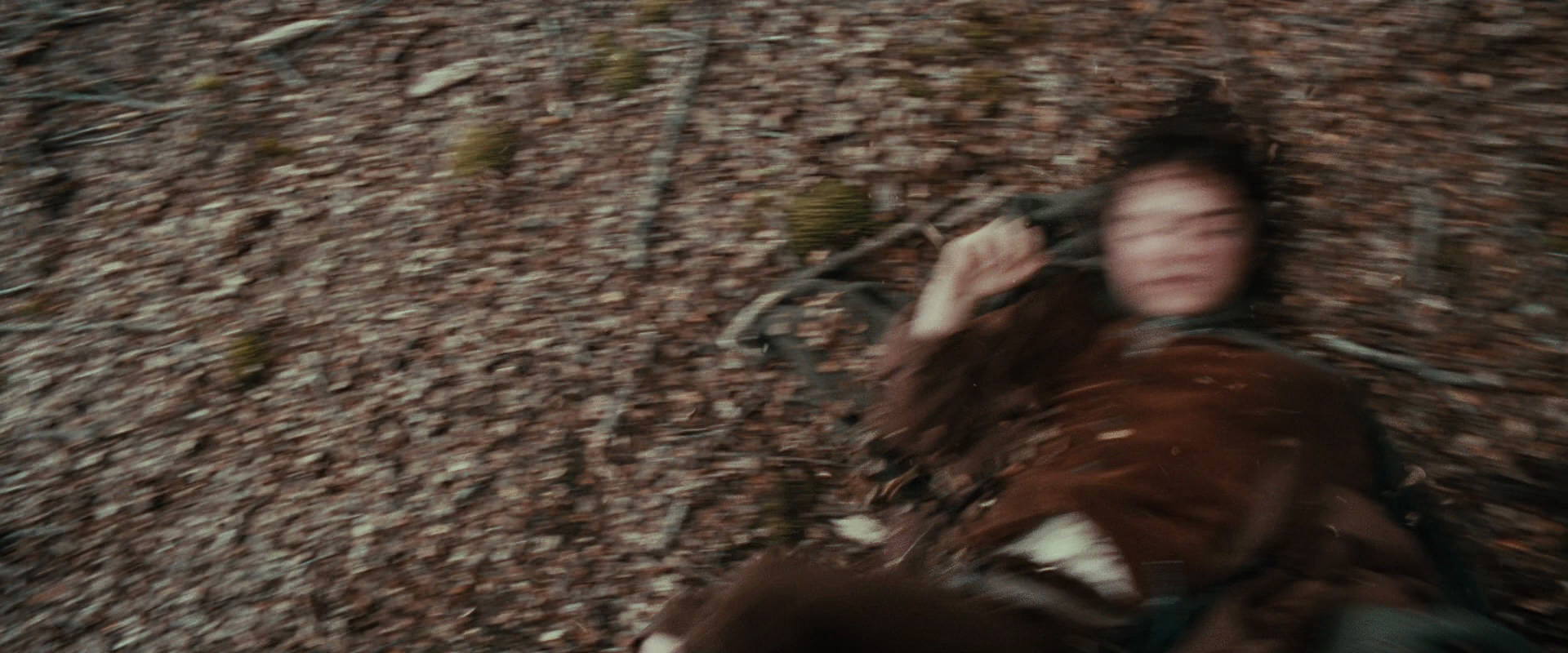The Lord of the Rings: The Fellowship of the Ring (2001) HD screenshot 21491