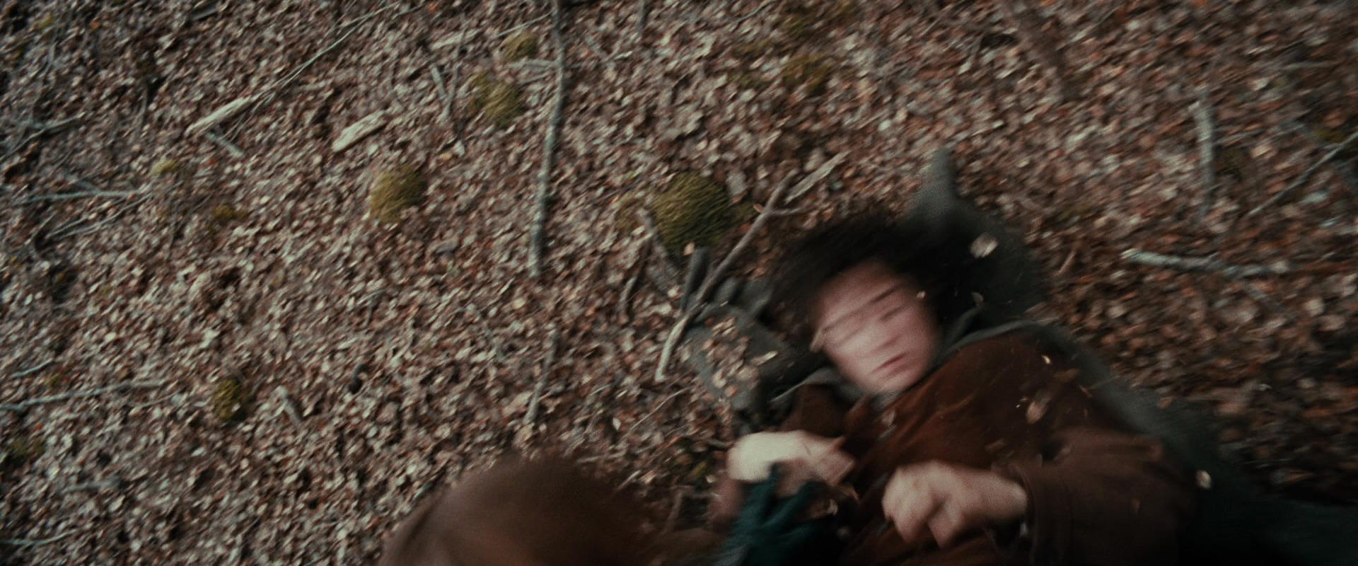 The Lord of the Rings: The Fellowship of the Ring (2001) screencap 21492