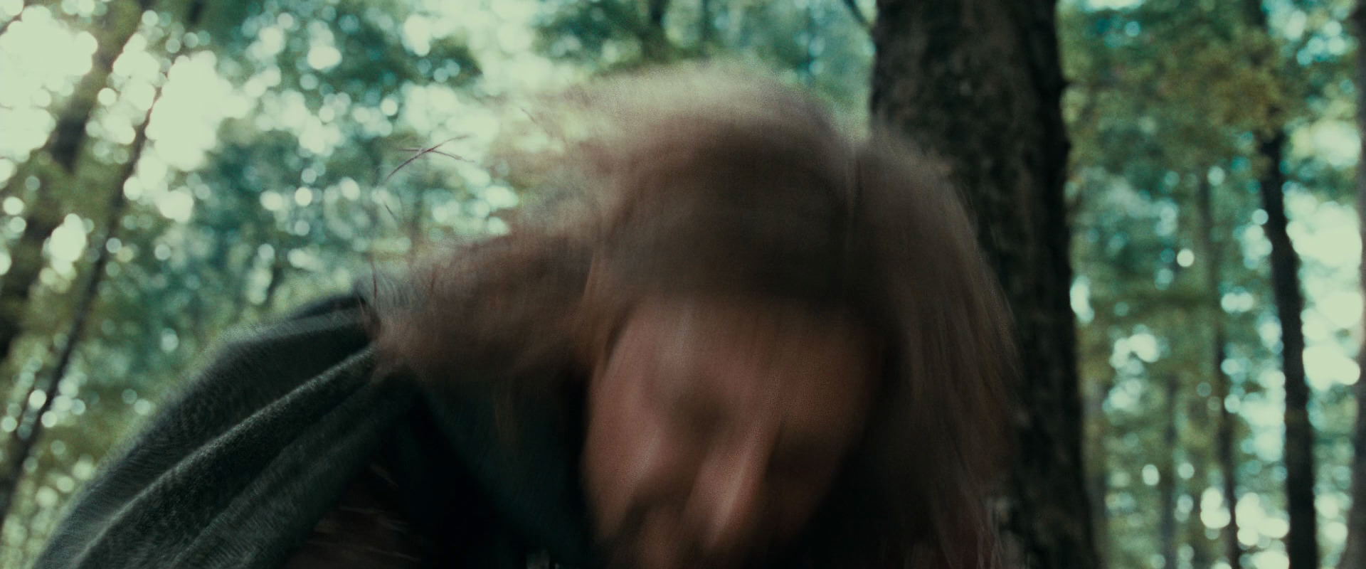 The Lord of the Rings: The Fellowship of the Ring (2001) movie still 21493