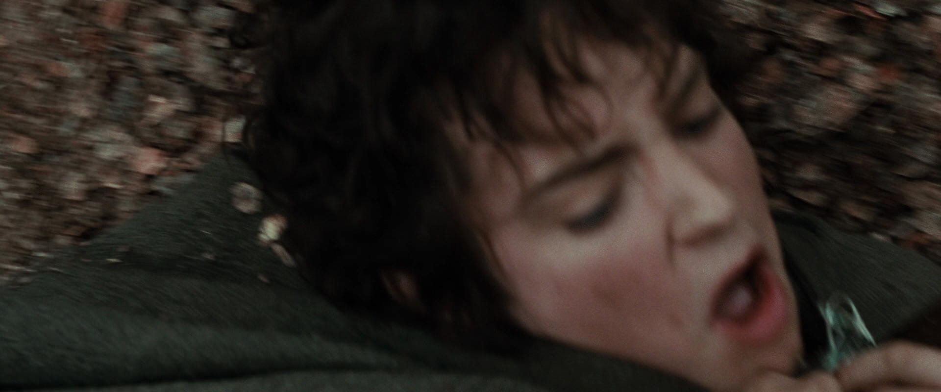 The Lord of the Rings: The Fellowship of the Ring (2001) screencap 21495