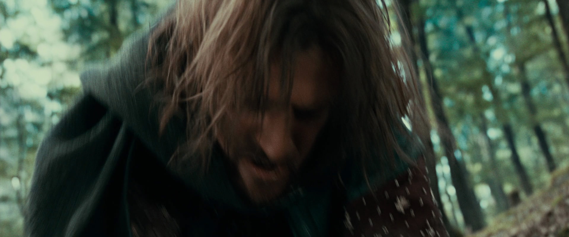 The Lord of the Rings: The Fellowship of the Ring (2001) HD screenshot 21497