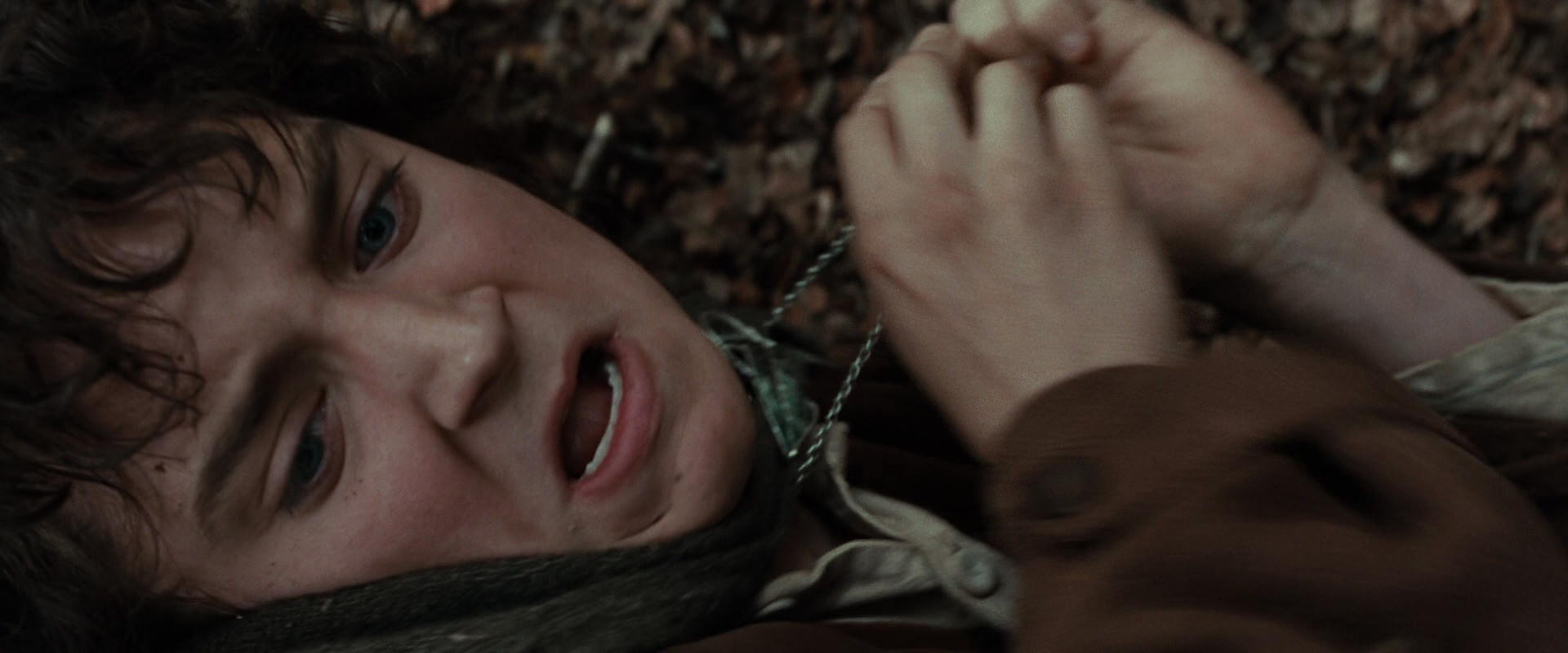 The Lord of the Rings: The Fellowship of the Ring (2001) screencap 21498