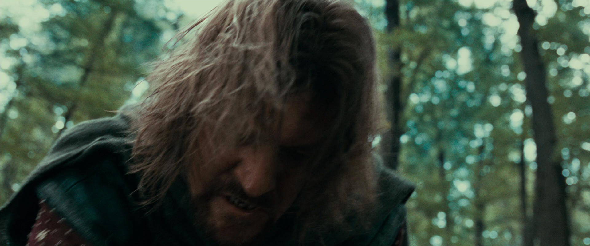 The Lord of the Rings: The Fellowship of the Ring (2001) movie still 21499
