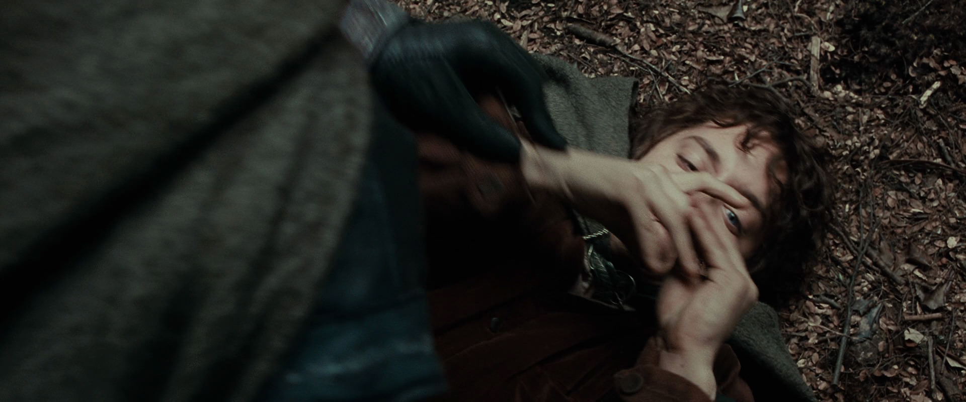 The Lord of the Rings: The Fellowship of the Ring (2001) HD screenshot 21500