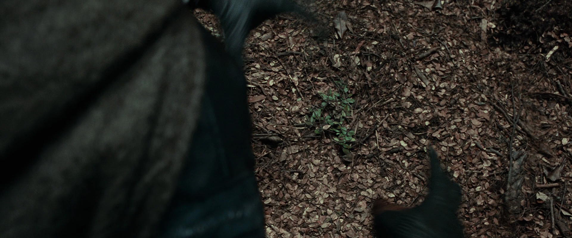 The Lord of the Rings: The Fellowship of the Ring (2001) screencap 21501