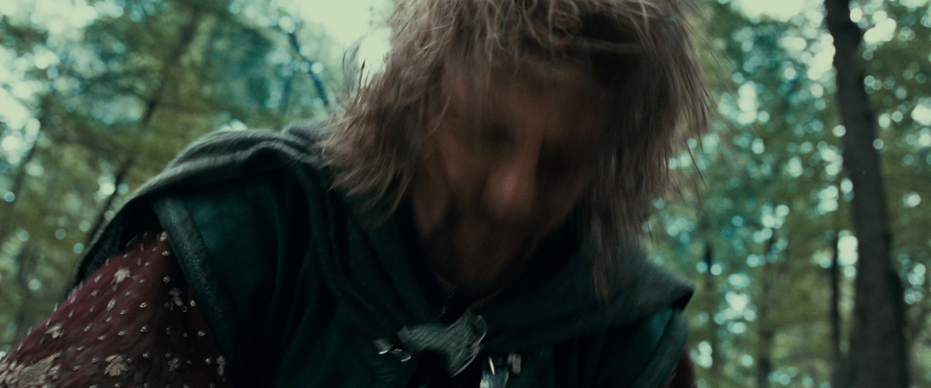 The Lord of the Rings: The Fellowship of the Ring (2001) screencap 21504