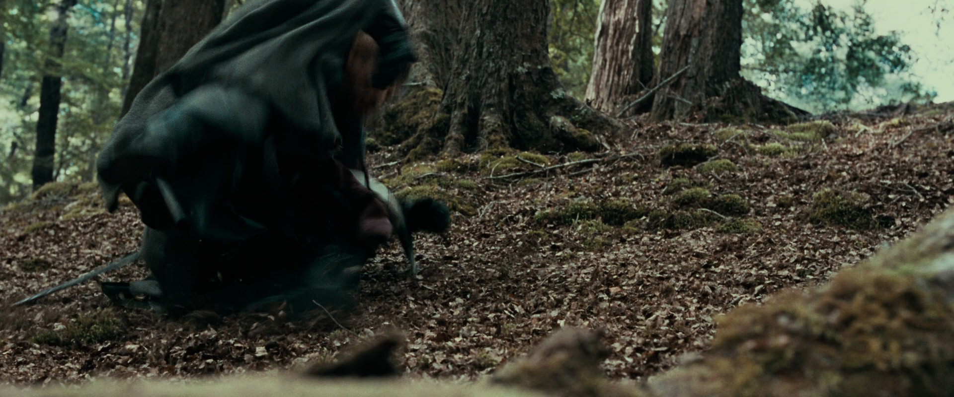 The Lord of the Rings: The Fellowship of the Ring (2001) movie still 21505