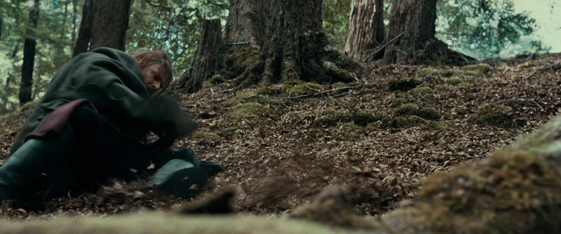 The Lord of the Rings: The Fellowship of the Ring (2001) HD screenshot 21506