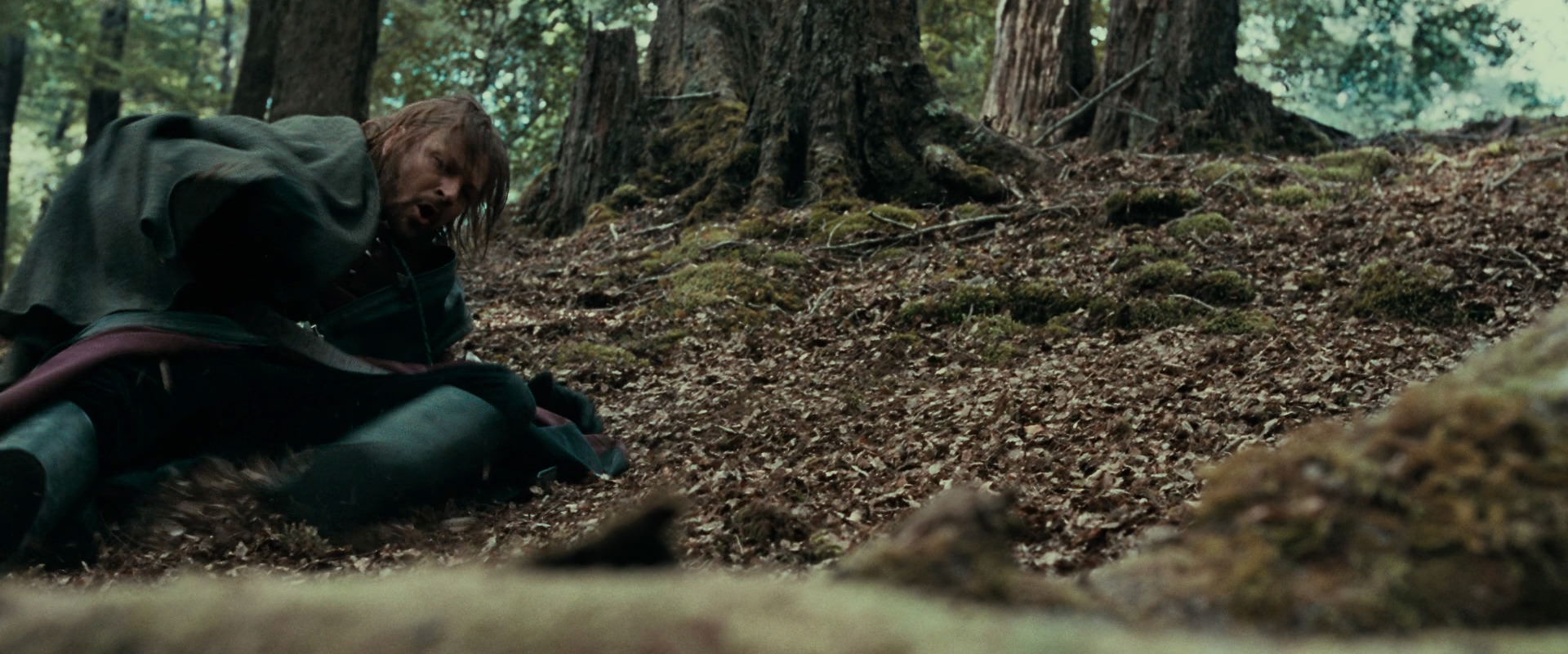 The Lord of the Rings: The Fellowship of the Ring (2001) screencap 21507
