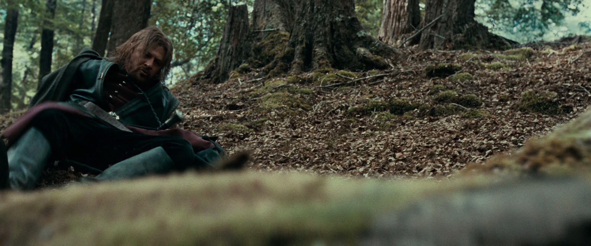 The Lord of the Rings: The Fellowship of the Ring (2001) movie still 21508