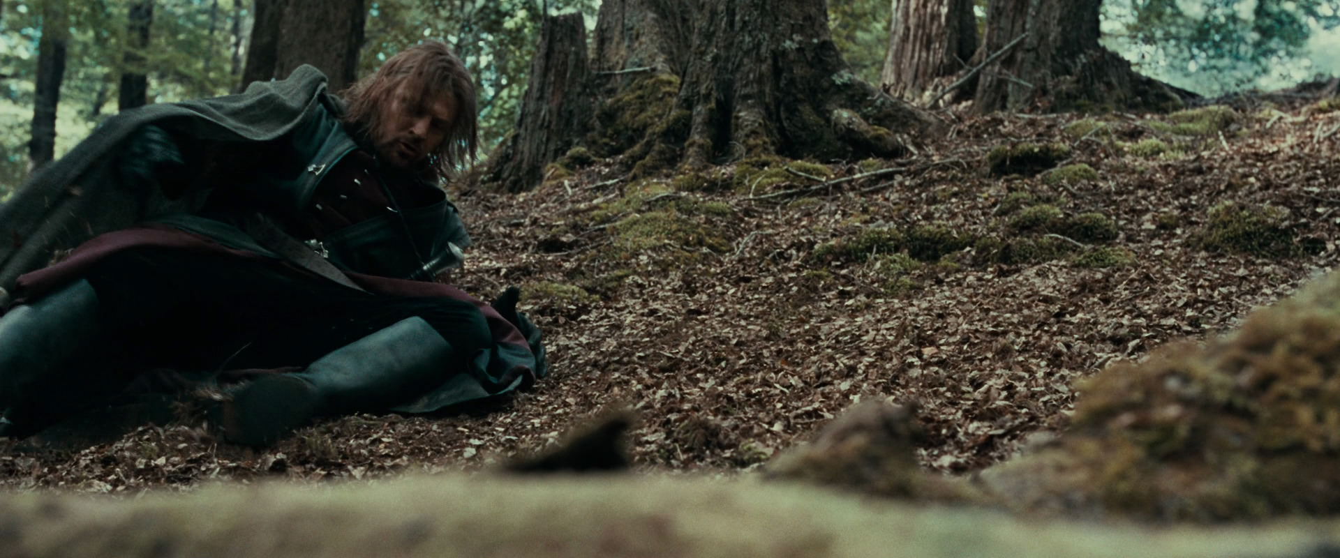 The Lord of the Rings: The Fellowship of the Ring (2001) screencap 21510