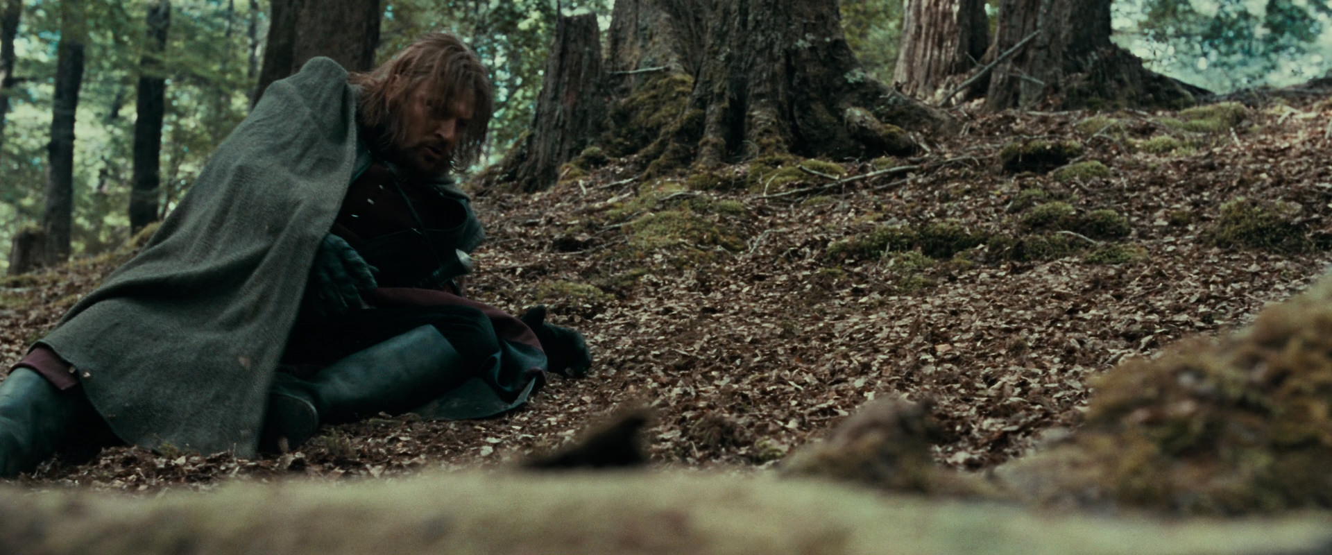 The Lord of the Rings: The Fellowship of the Ring (2001) movie still 21511
