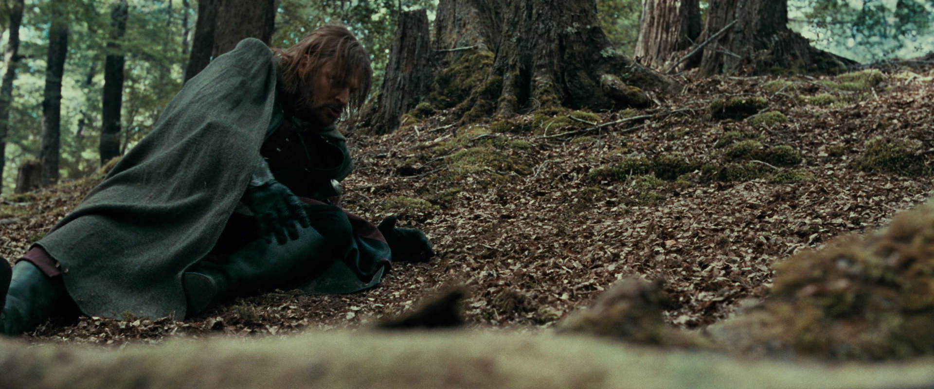 The Lord of the Rings: The Fellowship of the Ring (2001) HD screenshot 21512