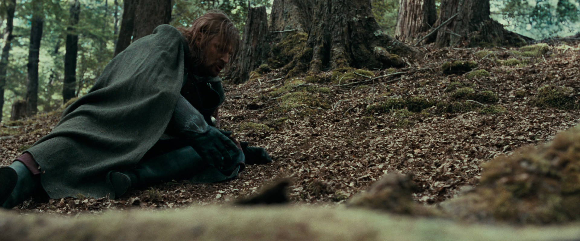 The Lord of the Rings: The Fellowship of the Ring (2001) screencap 21513