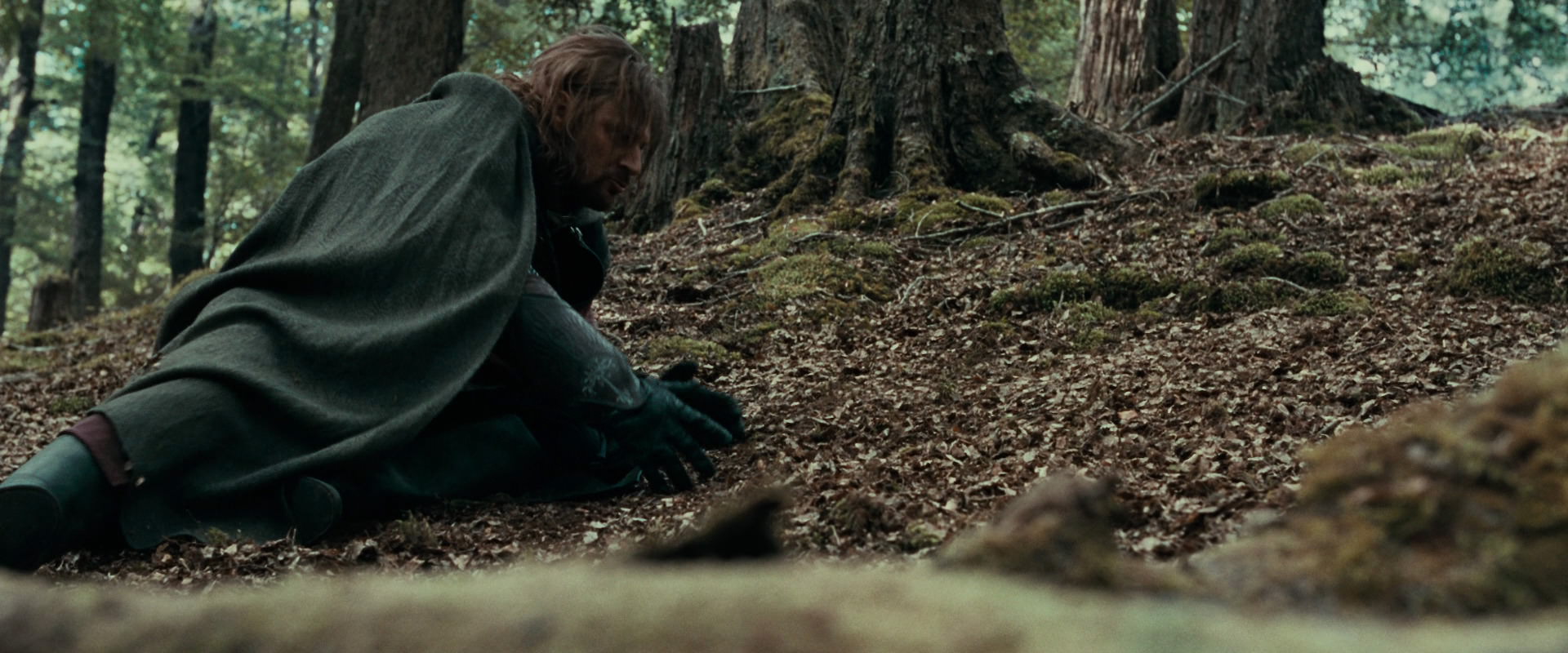 The Lord of the Rings: The Fellowship of the Ring (2001) movie still 21514