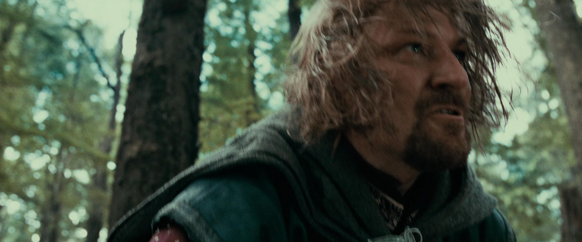 The Lord of the Rings: The Fellowship of the Ring (2001) screencap 21516