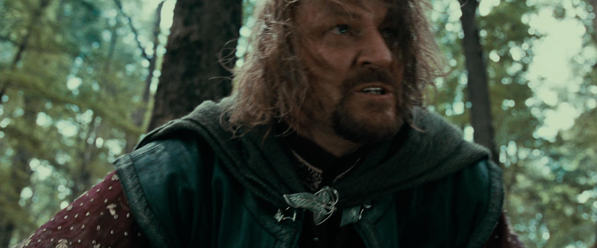 The Lord of the Rings: The Fellowship of the Ring (2001) screencap 21519