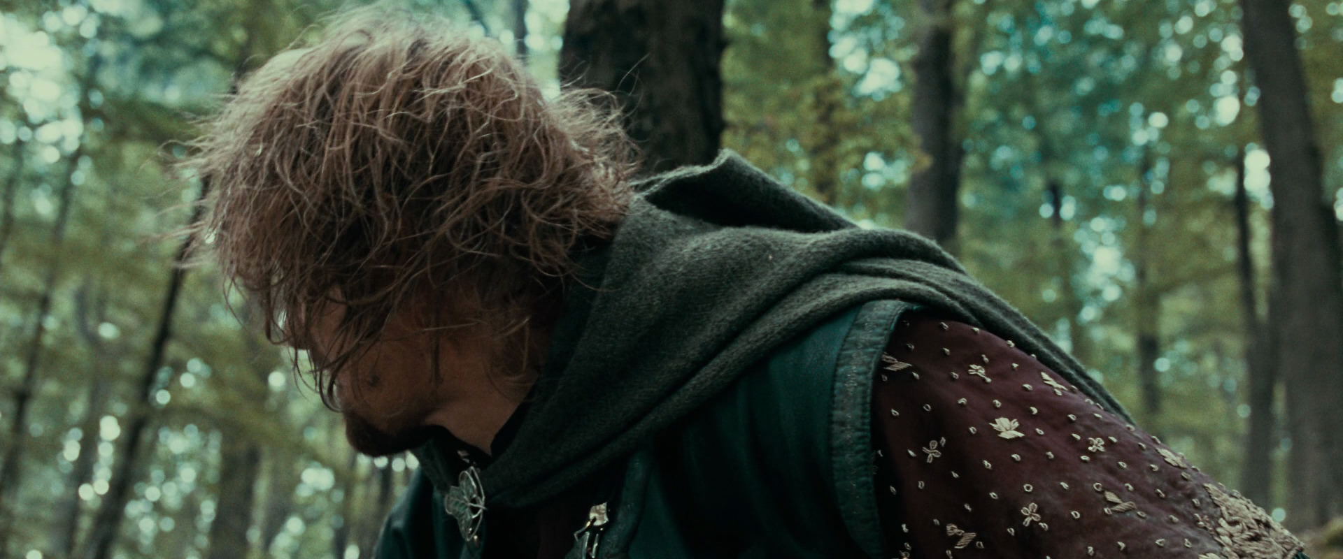 The Lord of the Rings: The Fellowship of the Ring (2001) screencap 21522