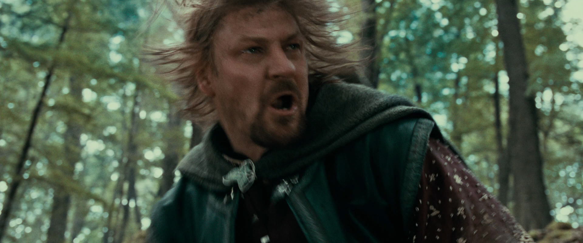 The Lord of the Rings: The Fellowship of the Ring (2001) movie still 21526