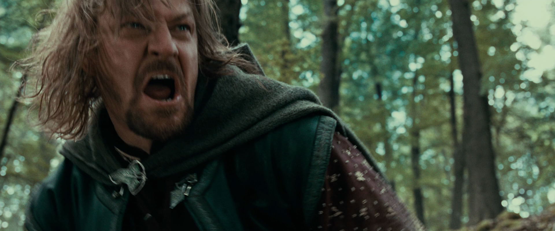 The Lord of the Rings: The Fellowship of the Ring (2001) HD screenshot 21527