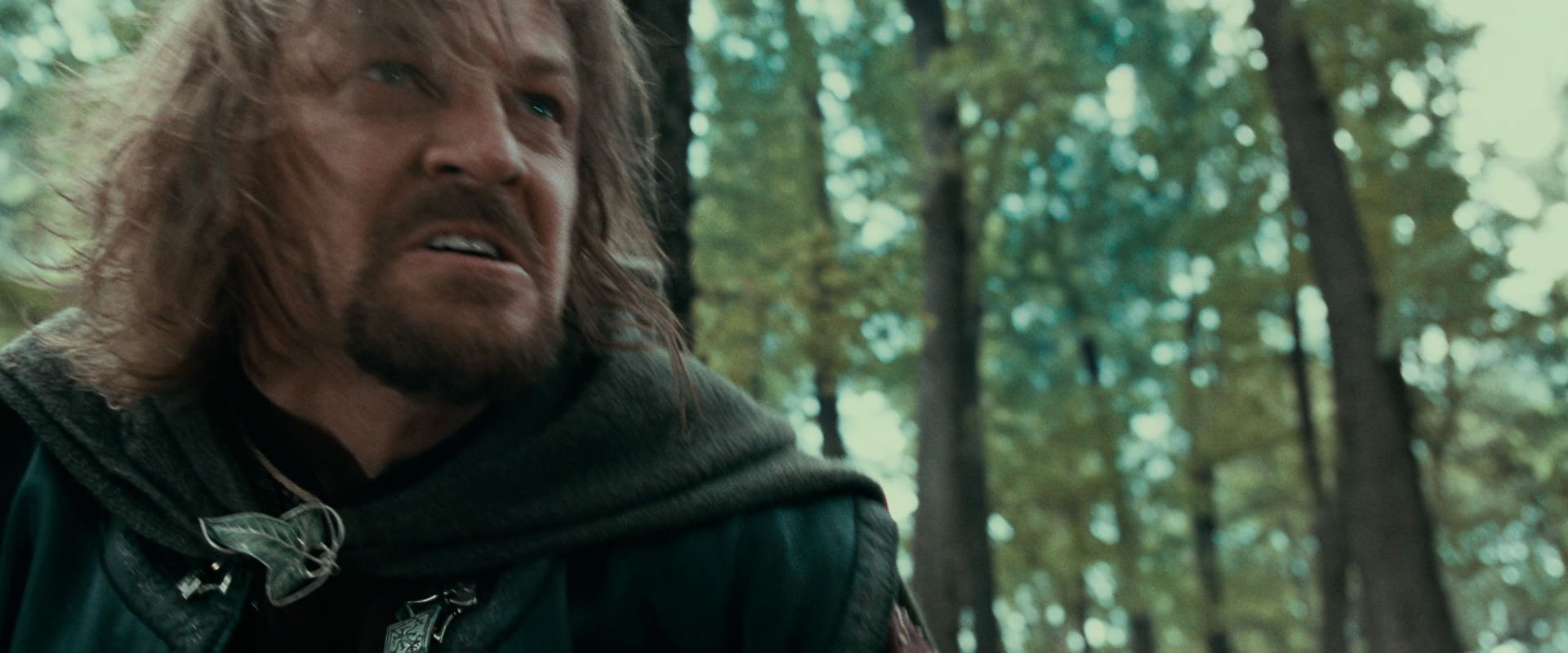 The Lord of the Rings: The Fellowship of the Ring (2001) screencap 21528