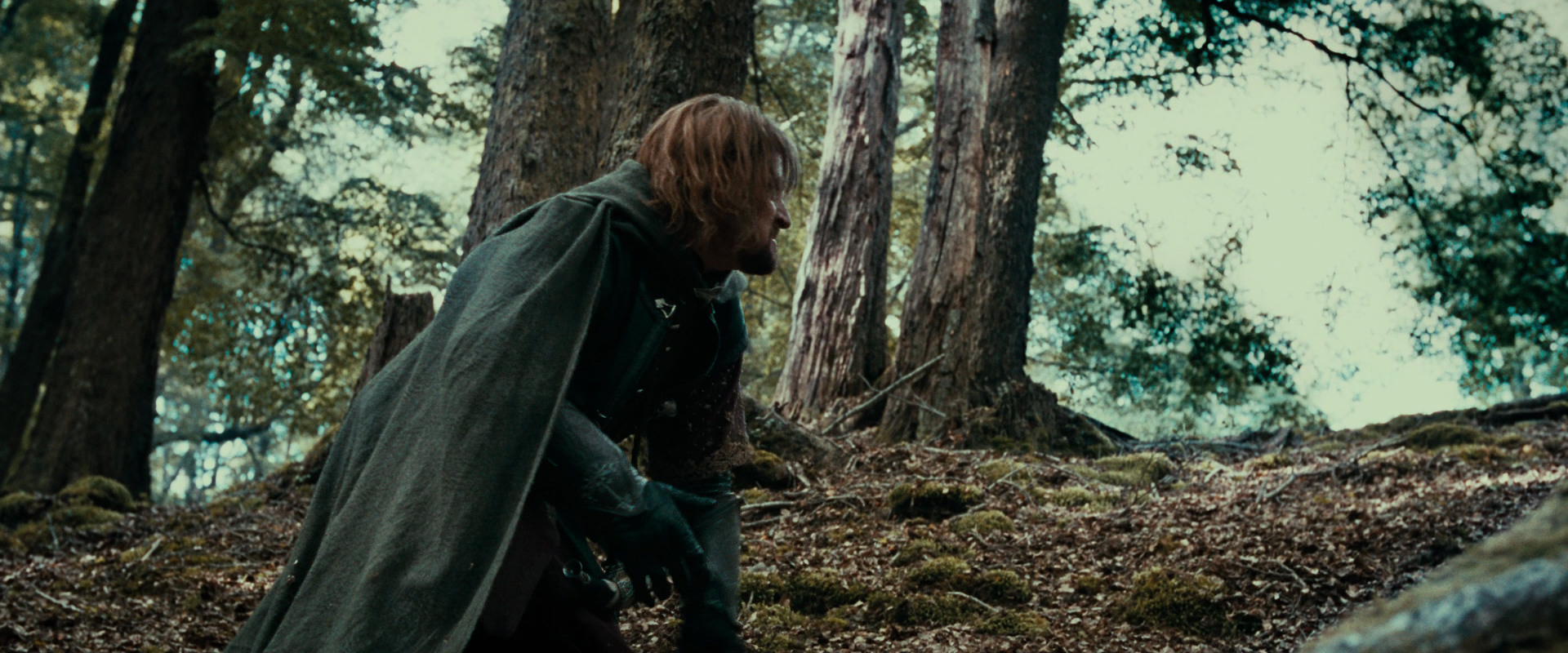 The Lord of the Rings: The Fellowship of the Ring (2001) movie still 21529