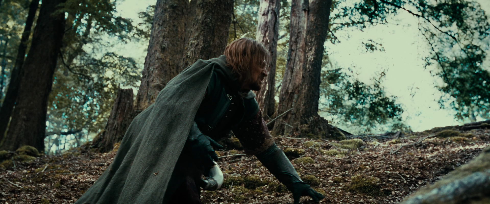 The Lord of the Rings: The Fellowship of the Ring (2001) HD screenshot 21530