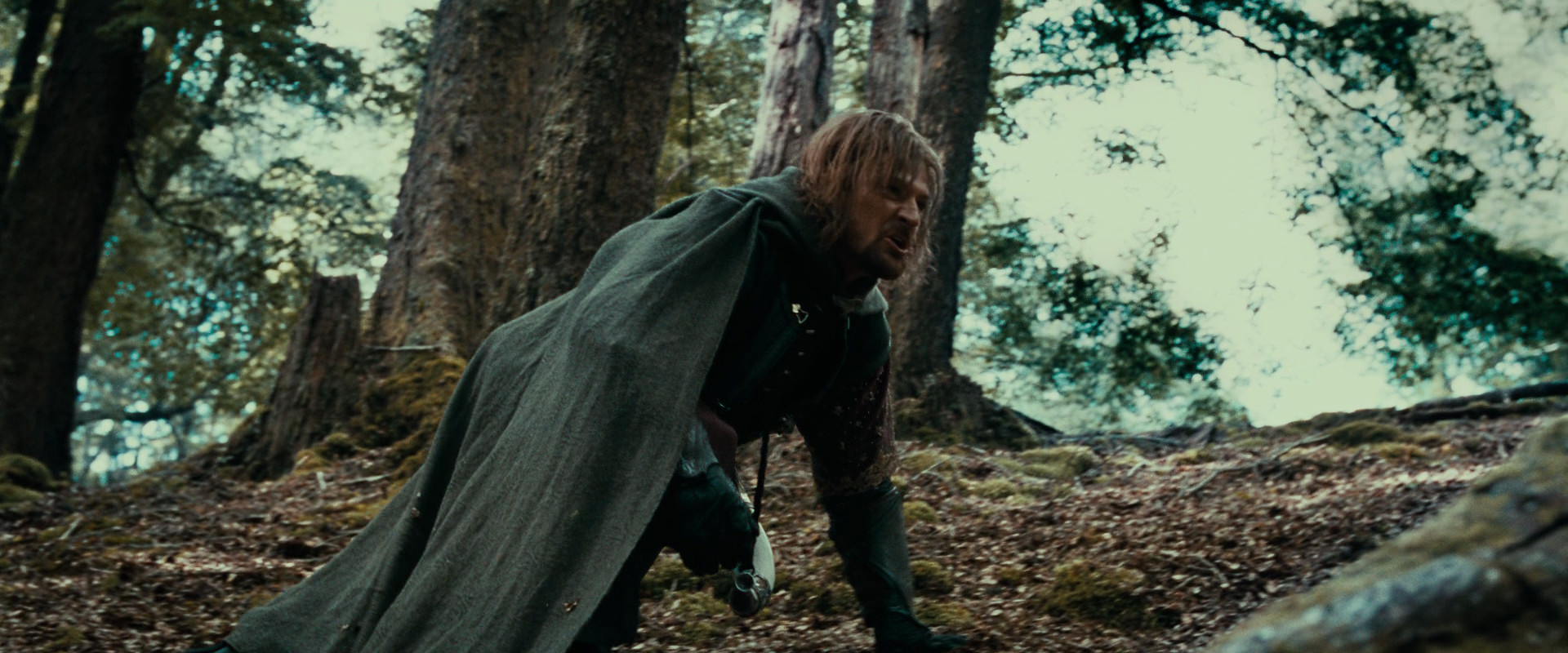 The Lord of the Rings: The Fellowship of the Ring (2001) screencap 21531