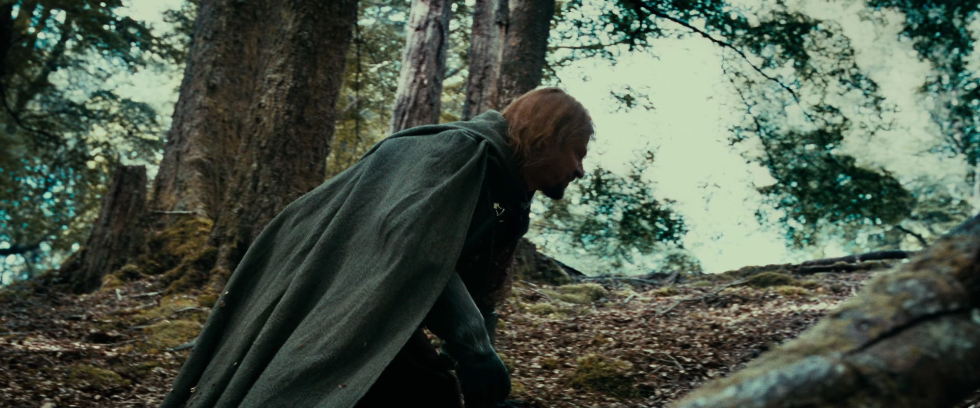 The Lord of the Rings: The Fellowship of the Ring (2001) movie still 21532