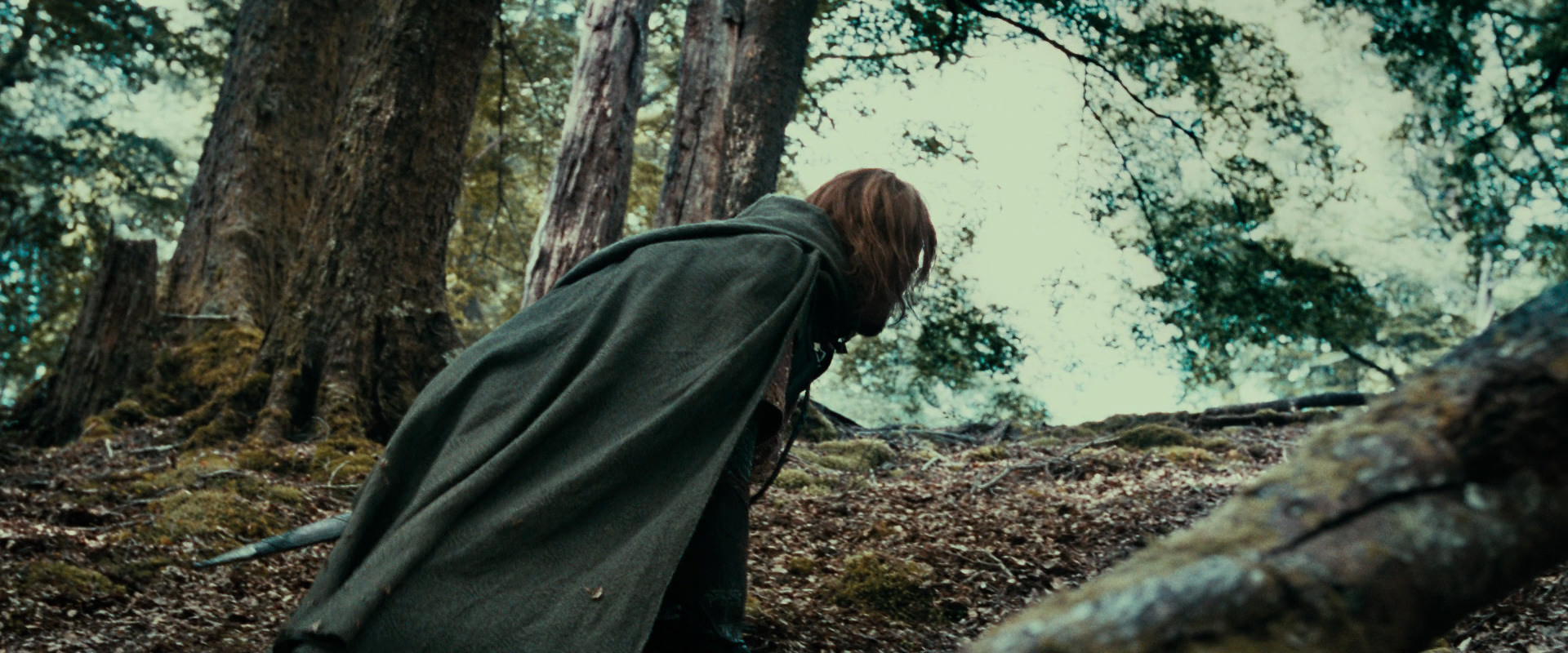 The Lord of the Rings: The Fellowship of the Ring (2001) HD screenshot 21533