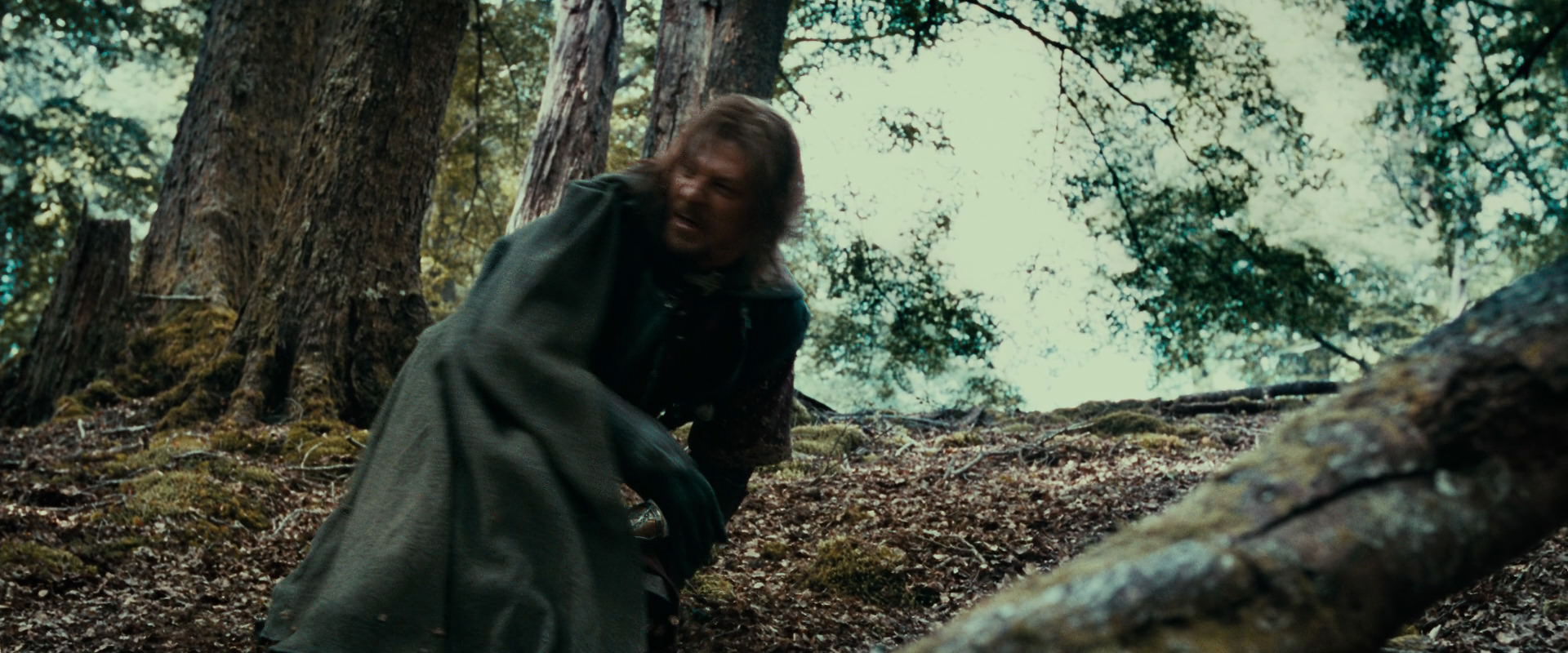 The Lord of the Rings: The Fellowship of the Ring (2001) screencap 21534