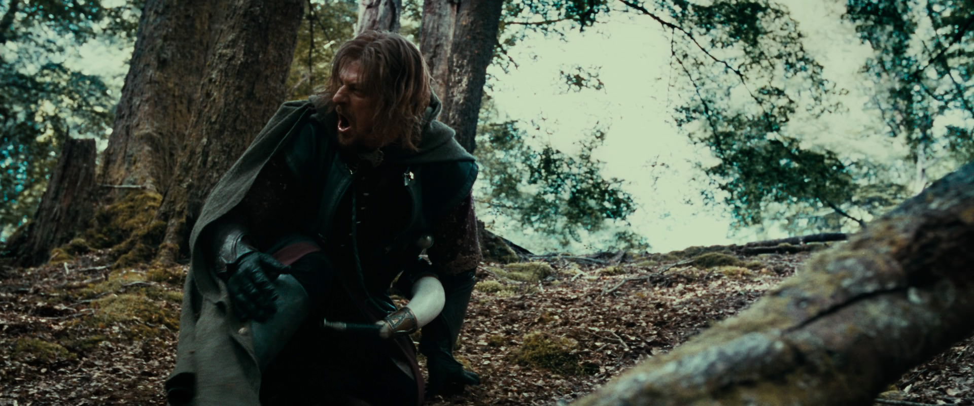The Lord of the Rings: The Fellowship of the Ring (2001) movie still 21535