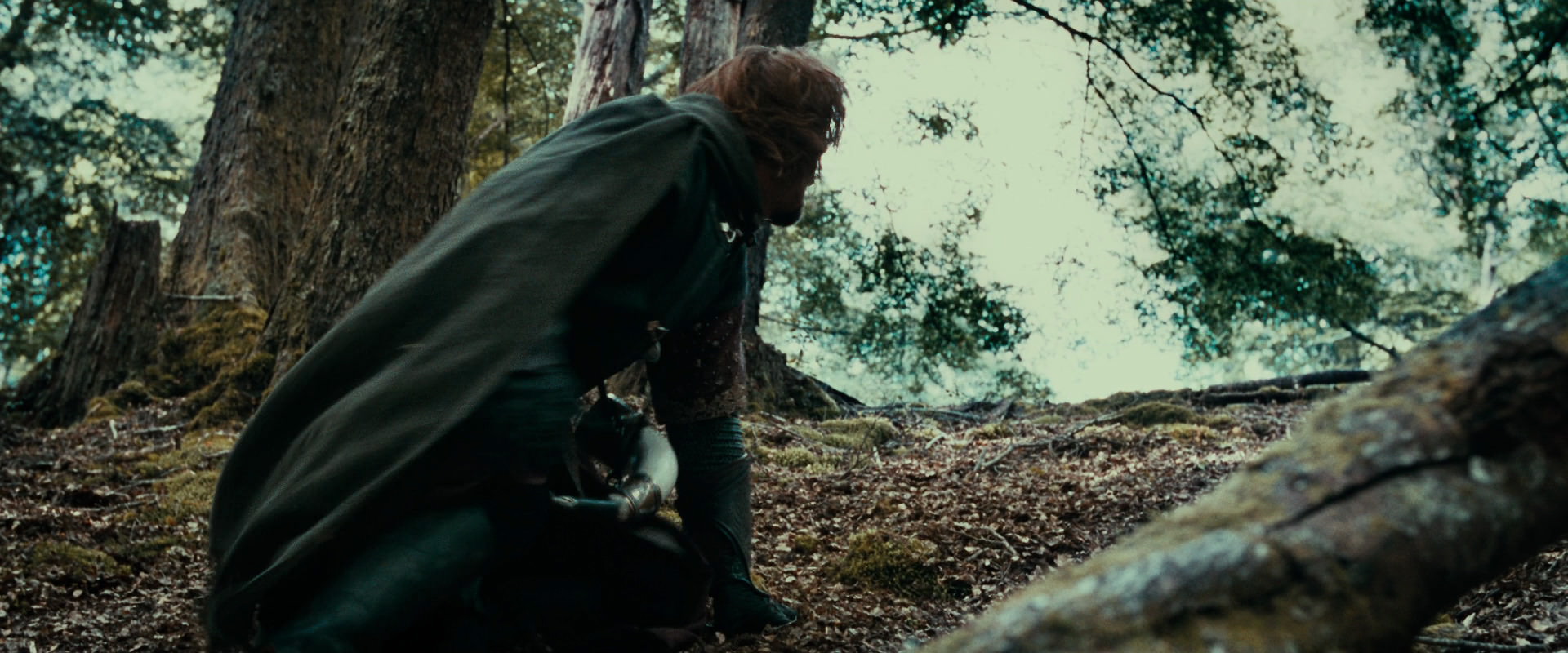 The Lord of the Rings: The Fellowship of the Ring (2001) HD screenshot 21536