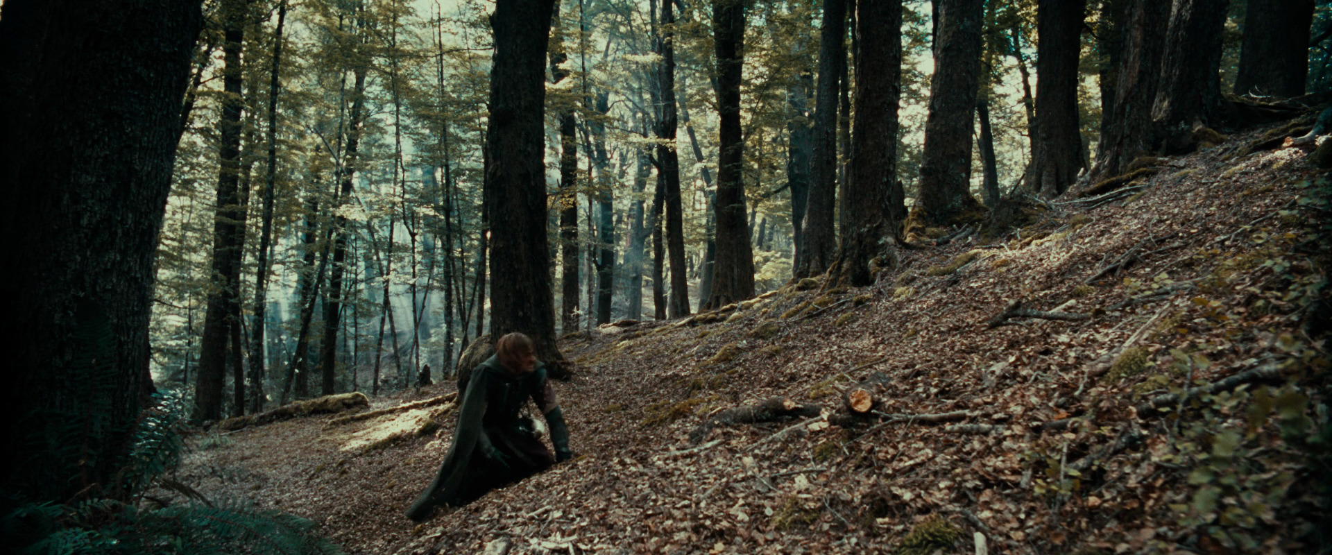 The Lord of the Rings: The Fellowship of the Ring (2001) screencap 21537