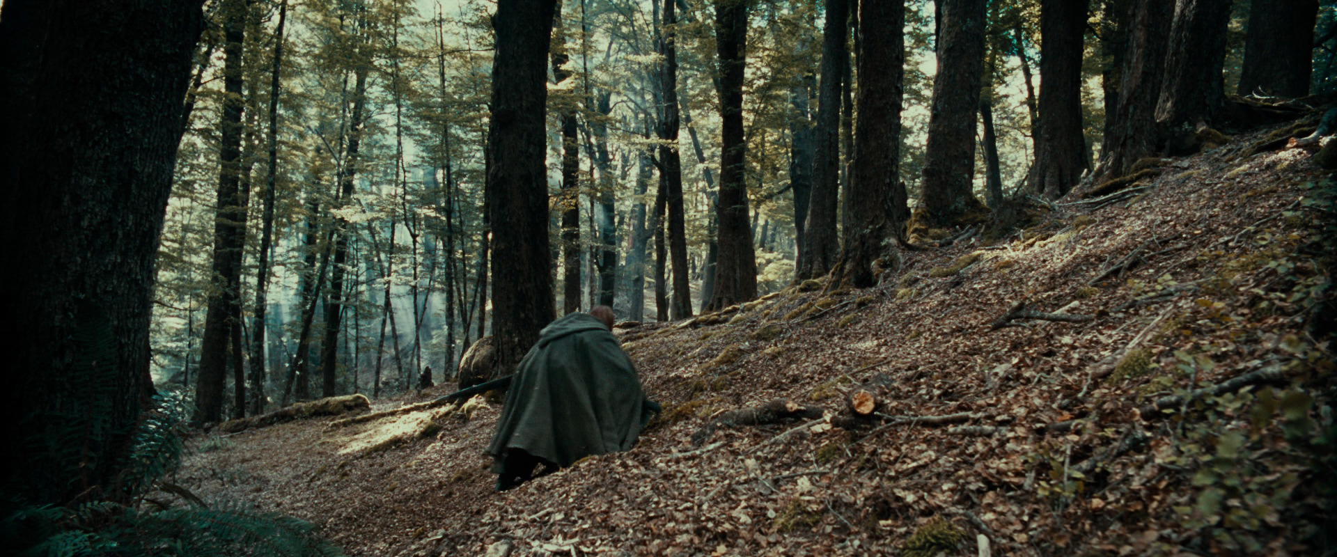 The Lord of the Rings: The Fellowship of the Ring (2001) screencap 21540