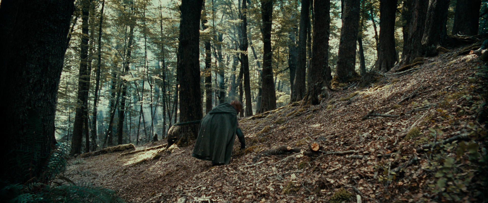 The Lord of the Rings: The Fellowship of the Ring (2001) movie still 21541