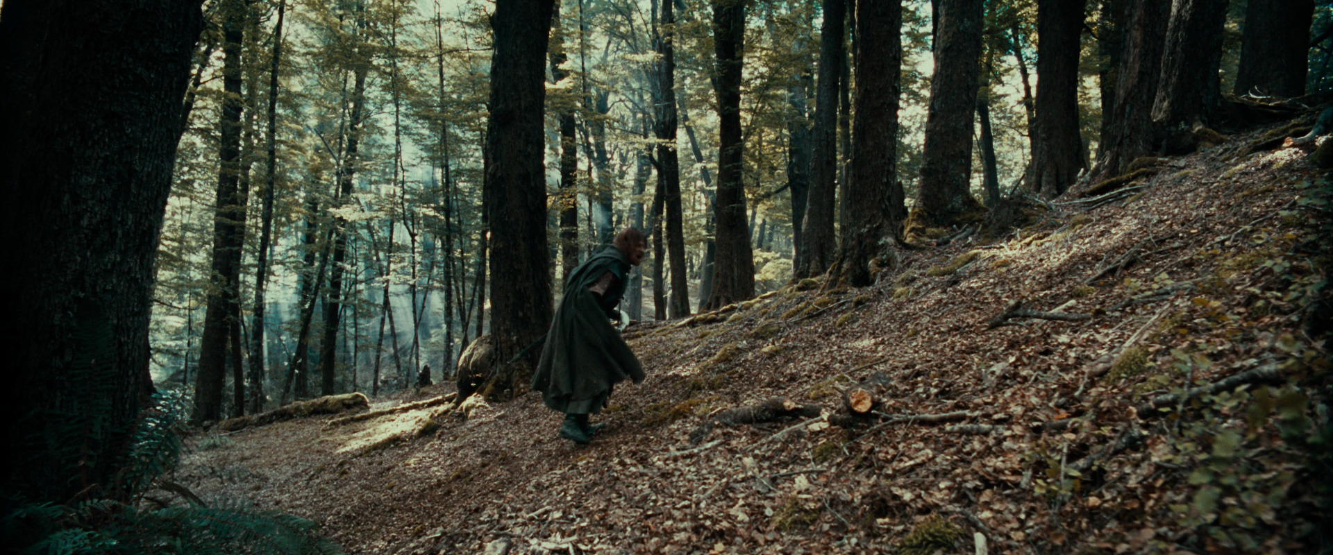 The Lord of the Rings: The Fellowship of the Ring (2001) HD screenshot 21542