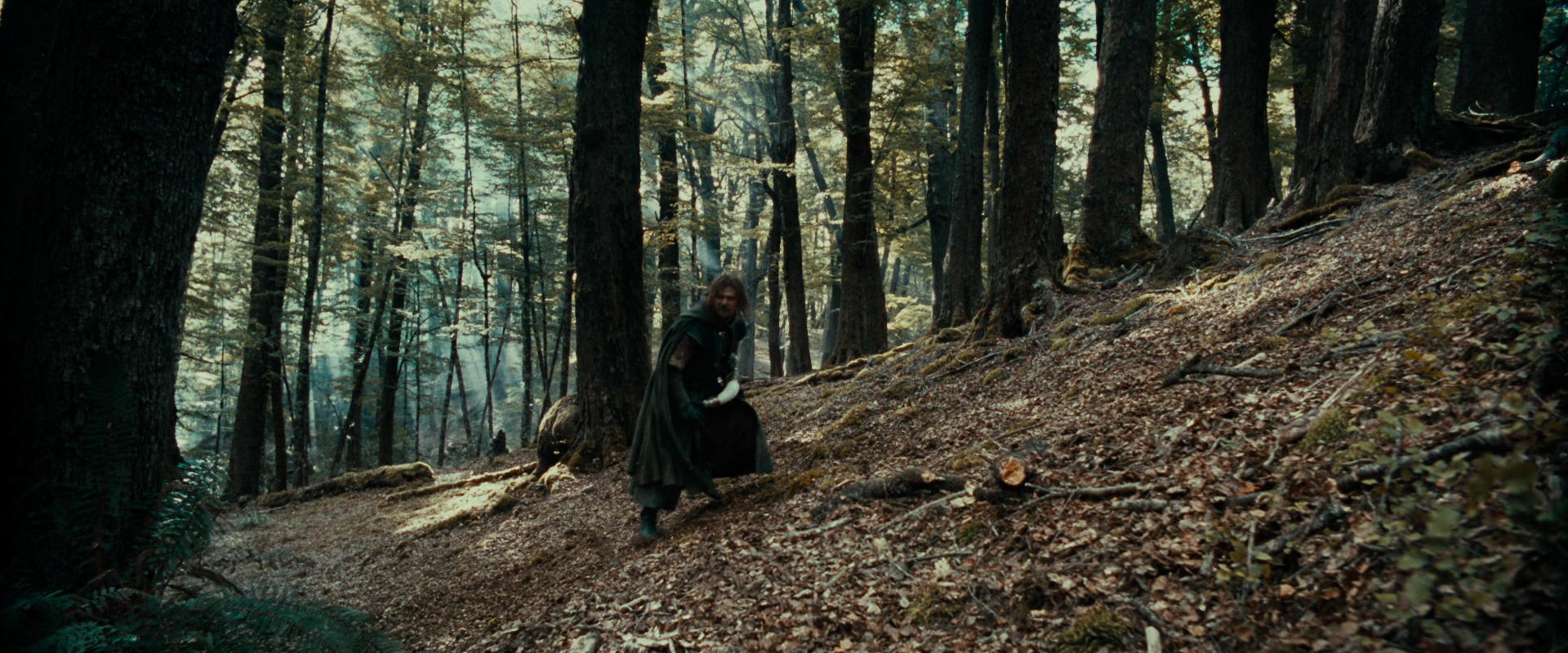 The Lord of the Rings: The Fellowship of the Ring (2001) screencap 21543