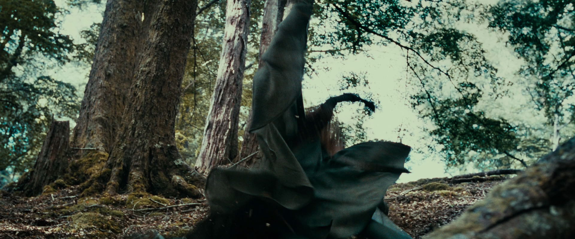 The Lord of the Rings: The Fellowship of the Ring (2001) movie still 21544