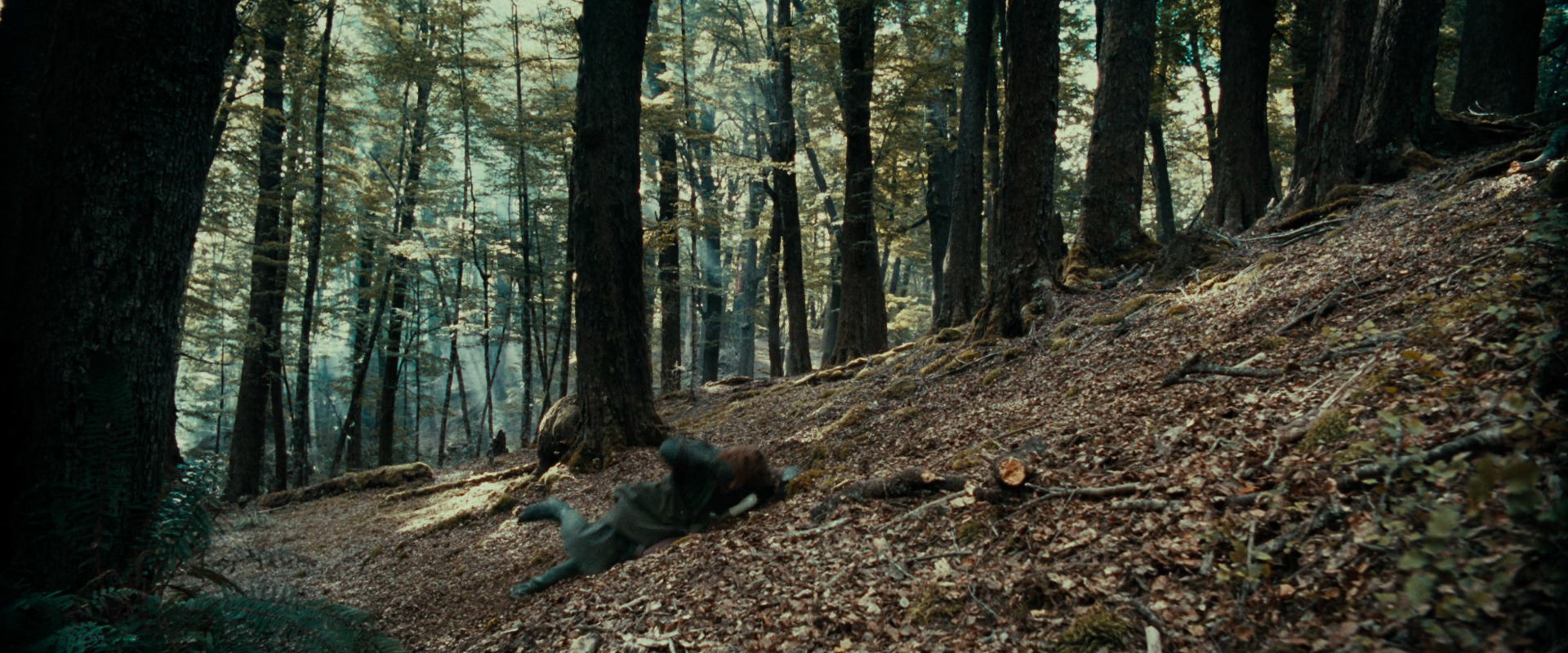 The Lord of the Rings: The Fellowship of the Ring (2001) screencap 21546