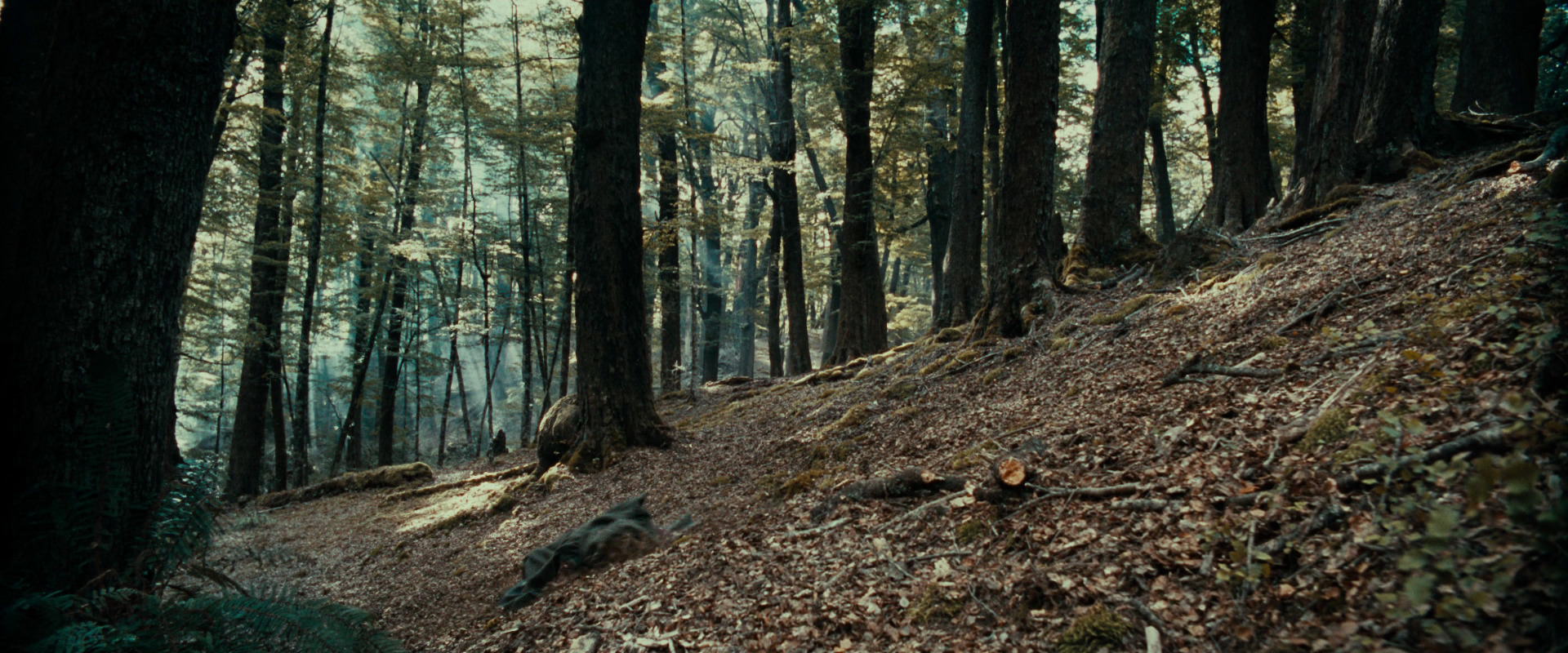 The Lord of the Rings: The Fellowship of the Ring (2001) movie still 21547