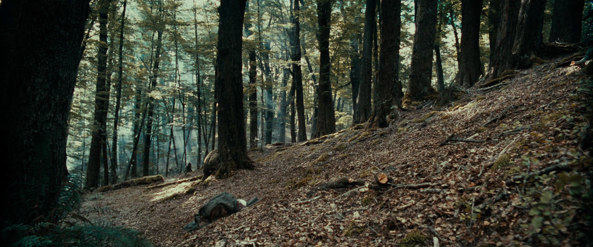 The Lord of the Rings: The Fellowship of the Ring (2001) HD screenshot 21548