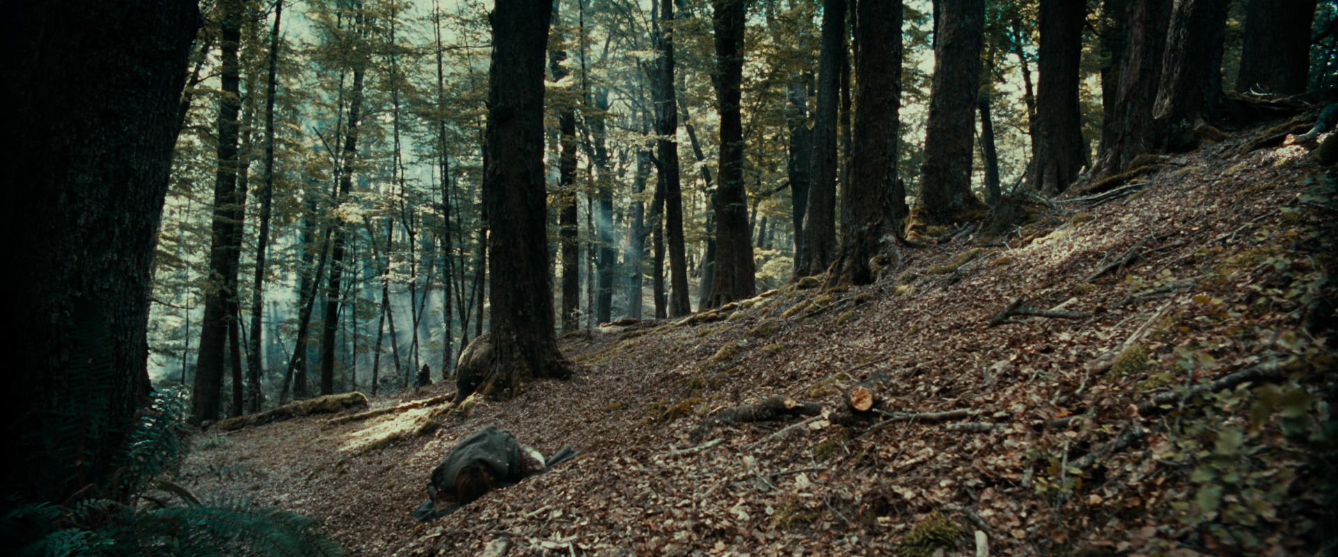 The Lord of the Rings: The Fellowship of the Ring (2001) movie still 21550