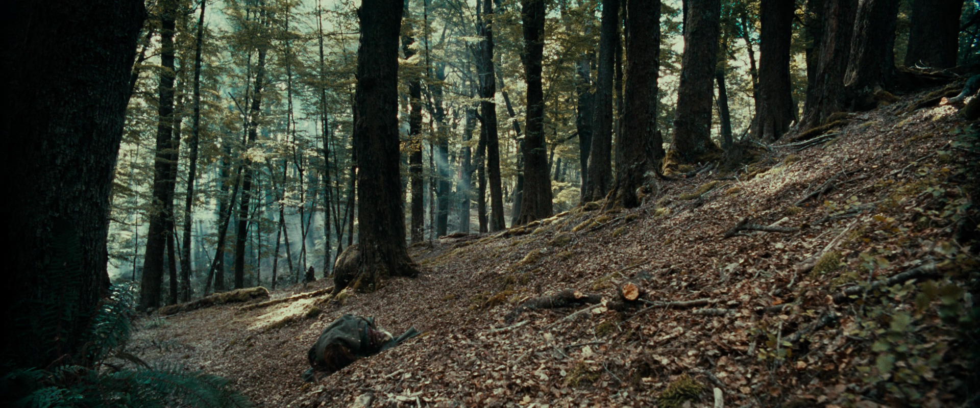The Lord of the Rings: The Fellowship of the Ring (2001) HD screenshot 21551