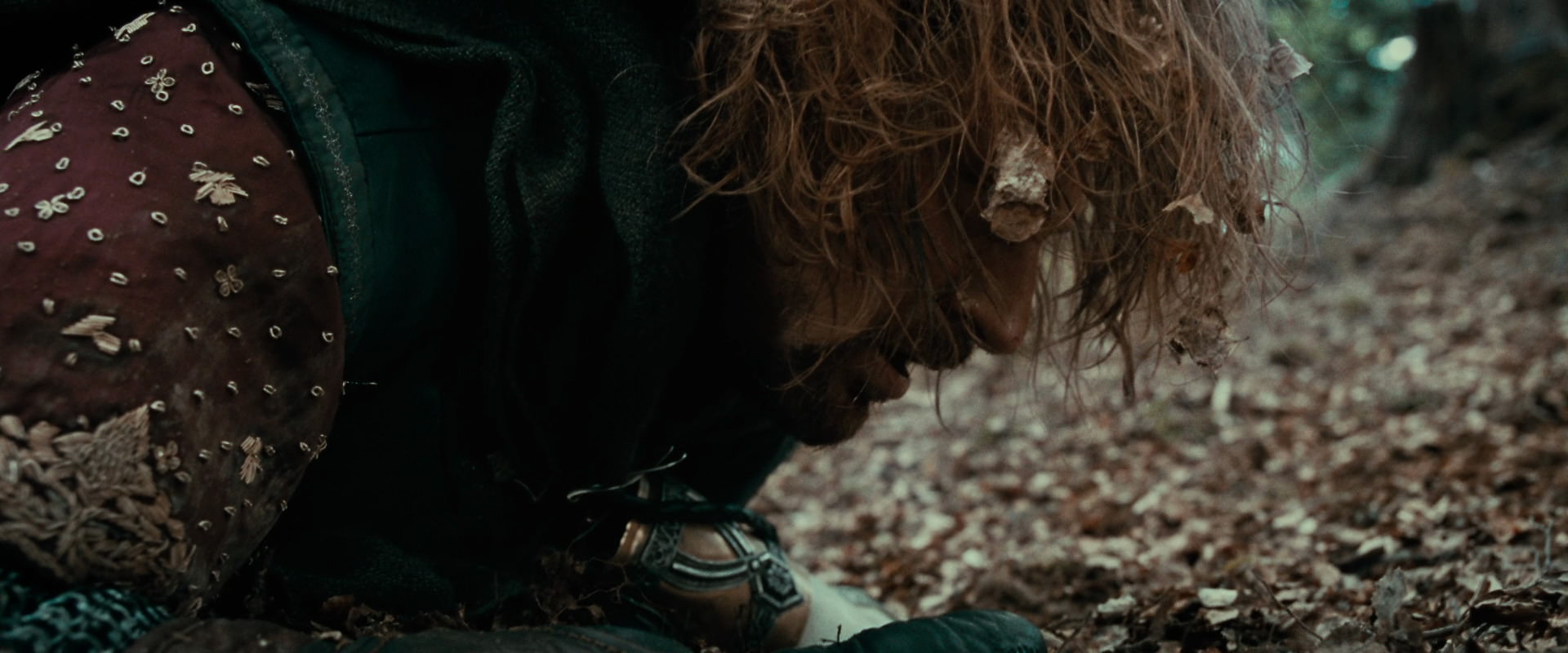 The Lord of the Rings: The Fellowship of the Ring (2001) screencap 21555