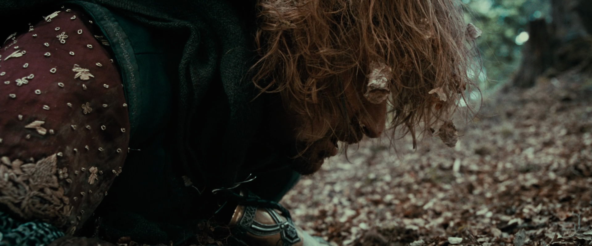 The Lord of the Rings: The Fellowship of the Ring (2001) movie still 21556