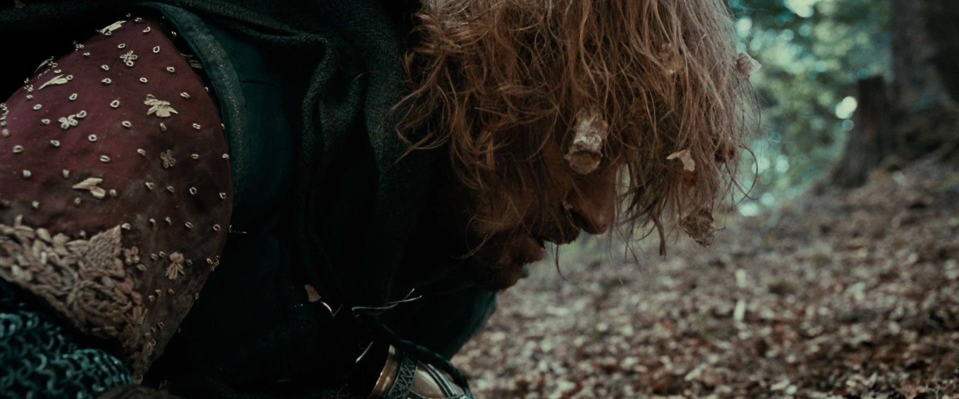 The Lord of the Rings: The Fellowship of the Ring (2001) screencap 21558