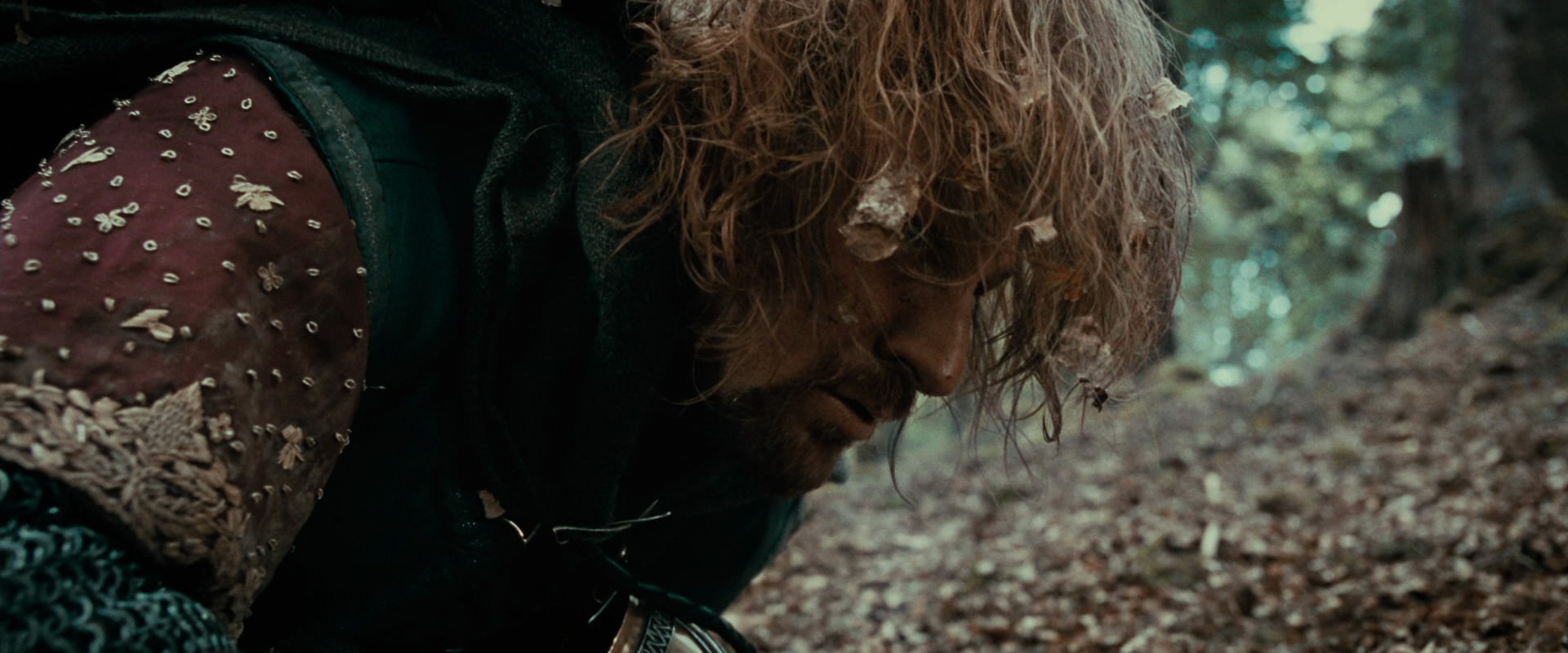 The Lord of the Rings: The Fellowship of the Ring (2001) movie still 21559