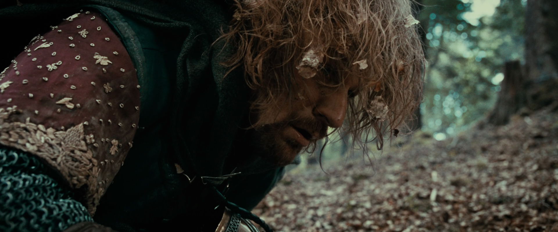 The Lord of the Rings: The Fellowship of the Ring (2001) HD screenshot 21560