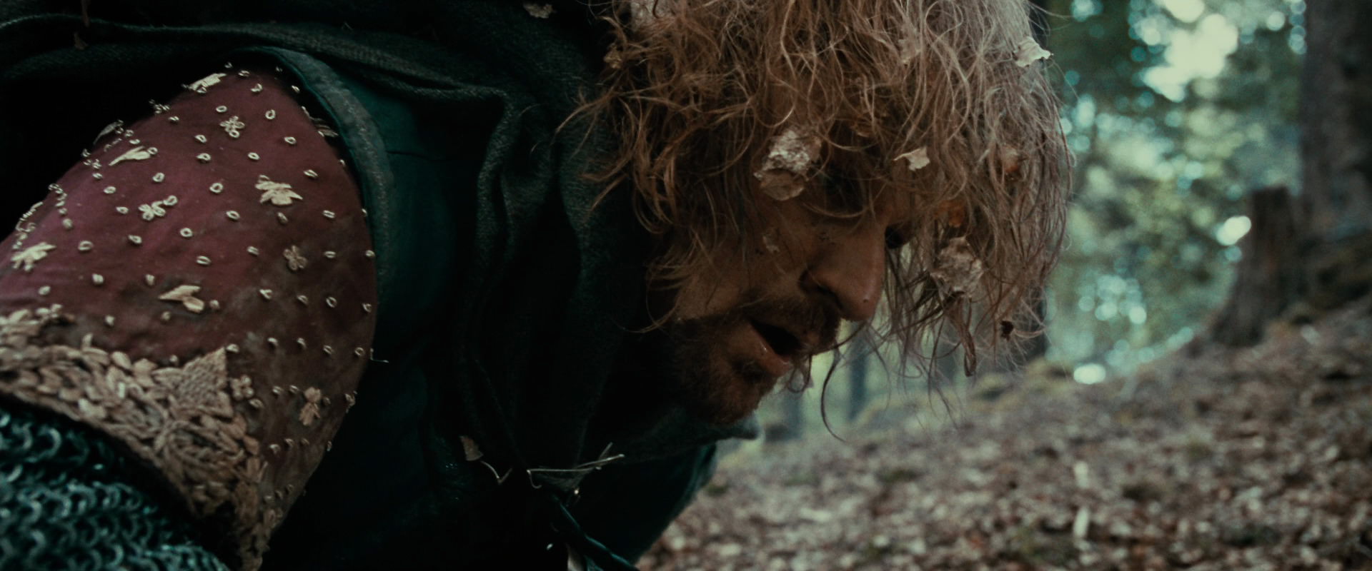 The Lord of the Rings: The Fellowship of the Ring (2001) screencap 21561